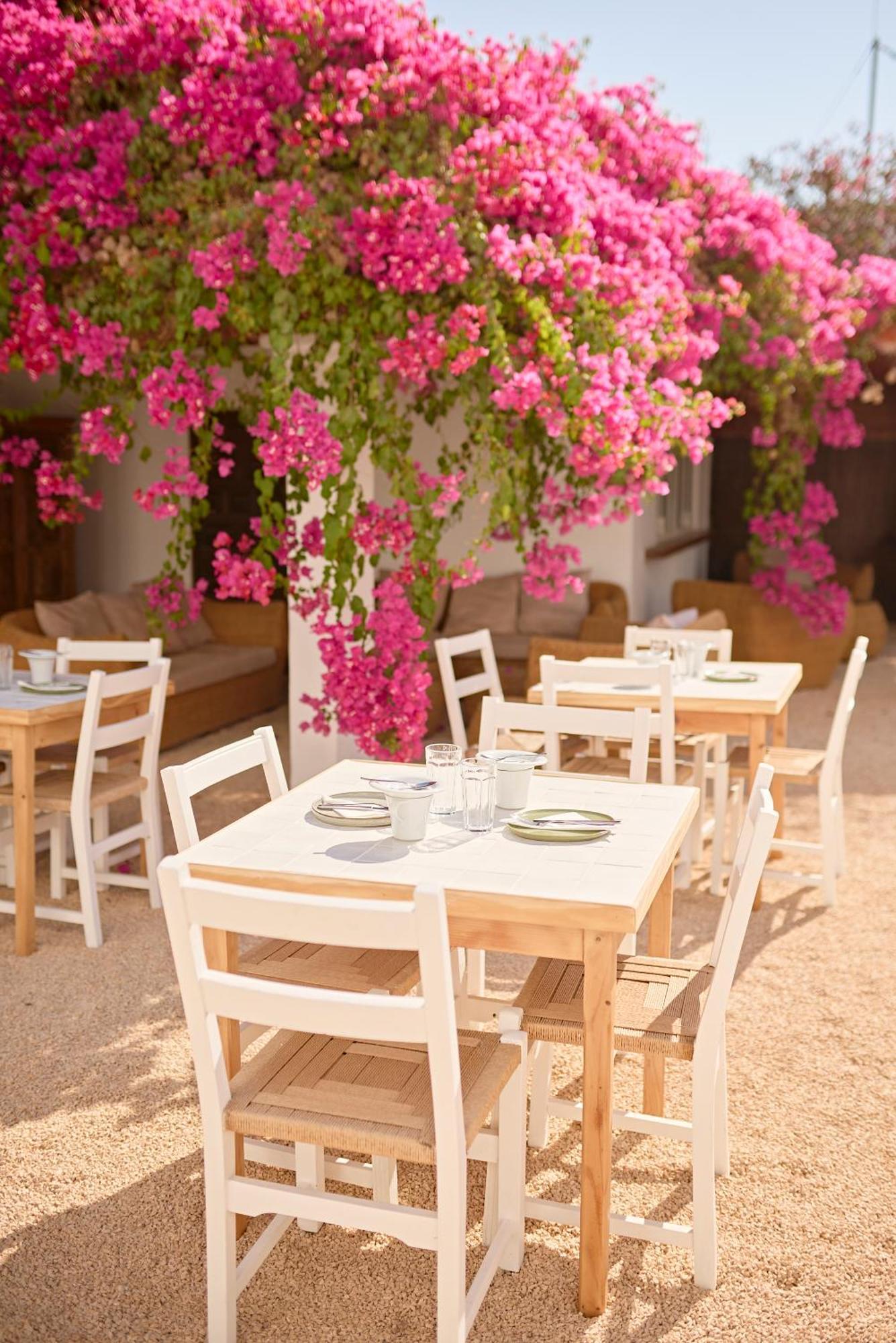 Ibara Ibiza Hotel Boutique เอสกานา ภายนอก รูปภาพ