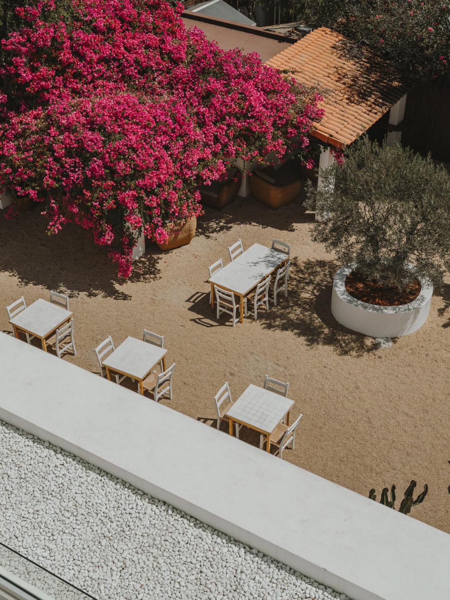 Ibara Ibiza Hotel Boutique เอสกานา ภายนอก รูปภาพ